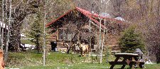 Taylor Creek Cabins.  Cabins on the Frying Pan River Colorado